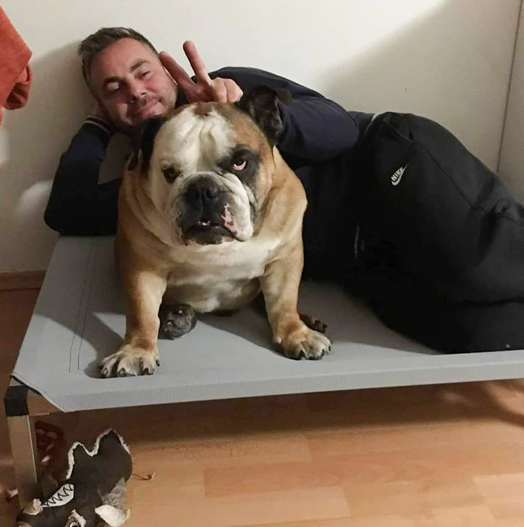 slovenko buldog